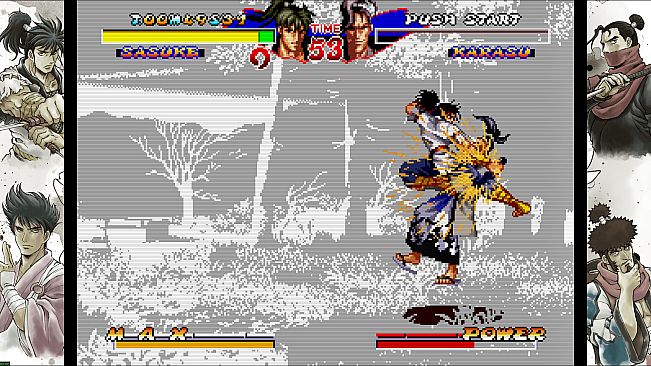 NINJA MASTER'S