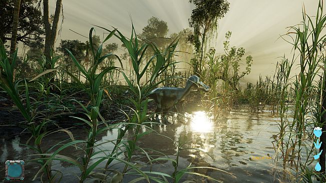 Evolution Of The Ancients