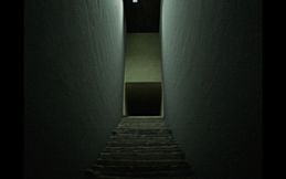 BACKROOMS THE COMPANY