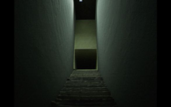 BACKROOMS THE COMPANY