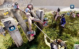 BDSM Oasis - interactive physics simulation