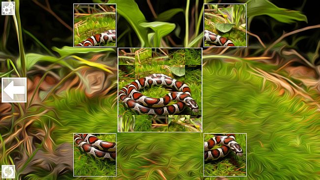 Puzzle Art: Snakes