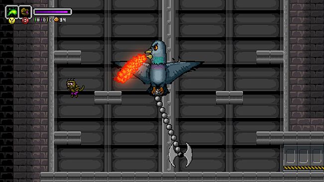 Fermi The Radioactive Hodgepodge