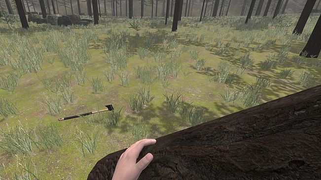 Forest Construction VR