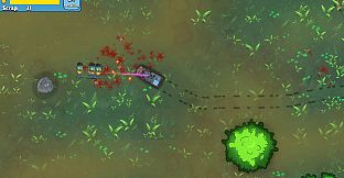 A Minor Pest Problem