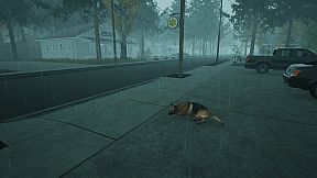 Sammy Jukes: Twin Lakes