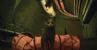 DarkRay