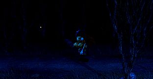 Pirates of First Star