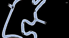 낙화 -falling flower-