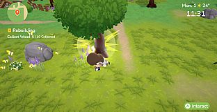 Animal Rescue Network