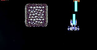 Starry Moon Island 2 Star Ocean MP08