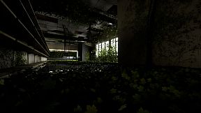 The Upper Downer Complex