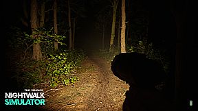 Nightwalk Simulator