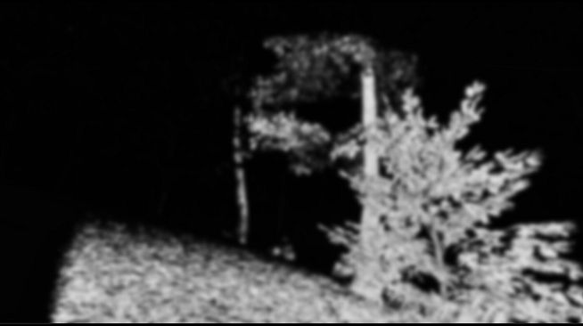 Monkey See, Monkey Doo, Monkey Kiss You