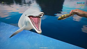 Dolphin Trainer VR