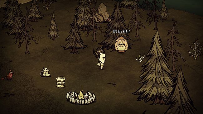 Don't Starve Together: Starter Pack 2025