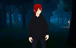 A Midnight Village Story