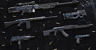 Insurgency: Sandstorm - Livewire Set Bundle