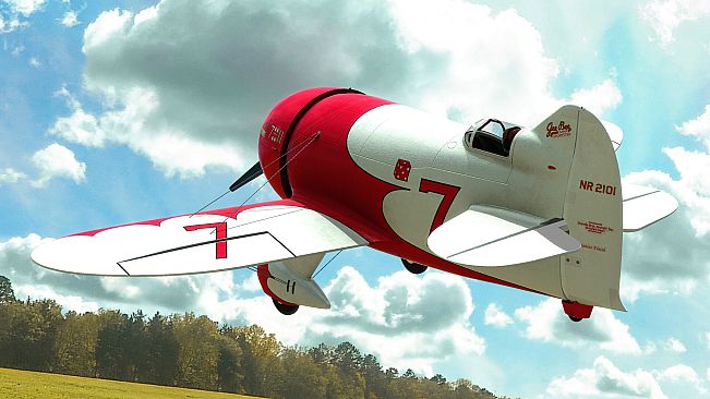RealFlight Evolution - E-flite Gee Bee R-2 1.0m