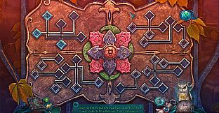 Reflections of Life: Dream Box Collector's Edition