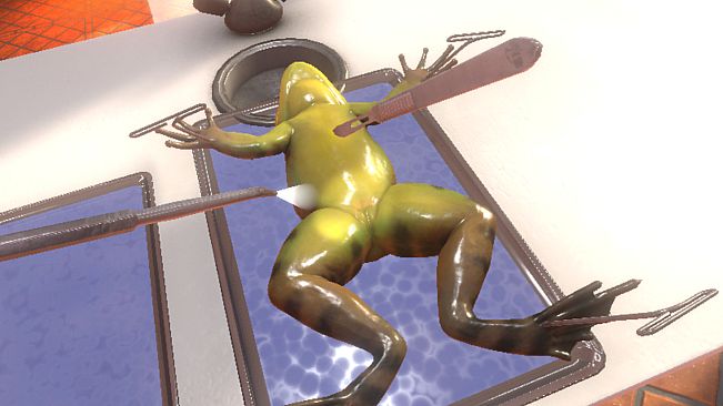 Dissection Simulator: Frog Edition