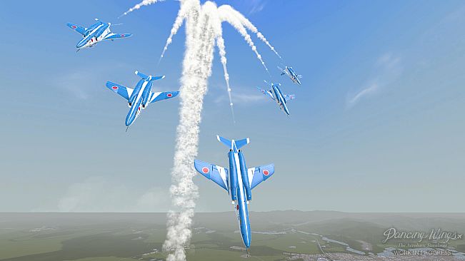 Dancing Wings - The Aerobatic Simulator