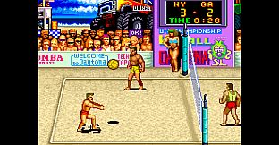 Arcade Archives 2 V'BALL