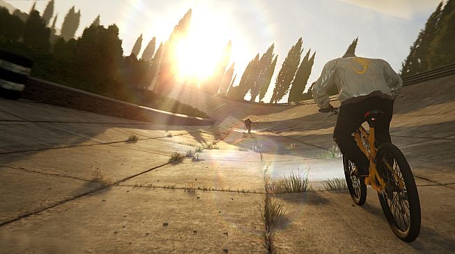 TRAIL OUT | Moto Rush