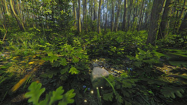 Mindfulness Simulator - ASMR Meditation Game