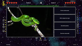 I've Seen Everything