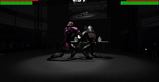 Iron Fury: Robot Boxing