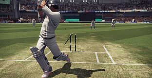 Don Bradman Cricket
