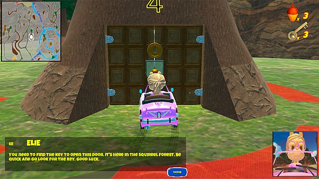 Squirrels Forest Race