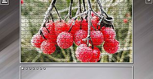 Super Jigsaw Puzzle: Generations - Winter 2023