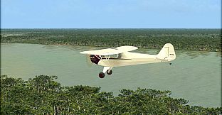 FSX: Steam Edition - Natural Tree Environment X Add-On