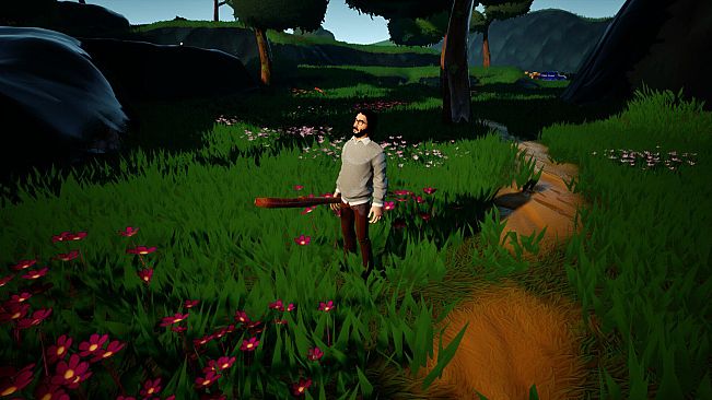 Simulators, strategies and pigeons