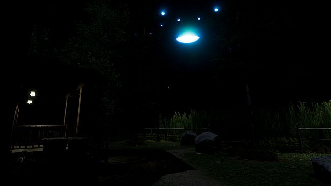 Confabulation: Homestead