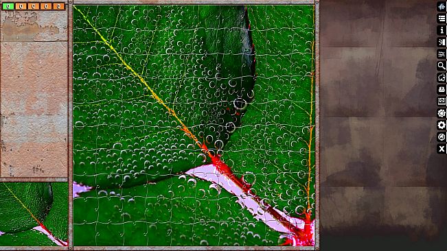 Jigsaw Puzzle Pack - Pixel Puzzles Ultimate: Macro