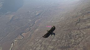 Aquila Bird Flight Simulator