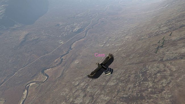 Aquila Bird Flight Simulator