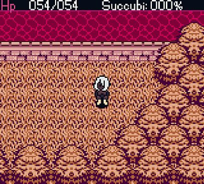 The Succubus Queen and the Holy Sword