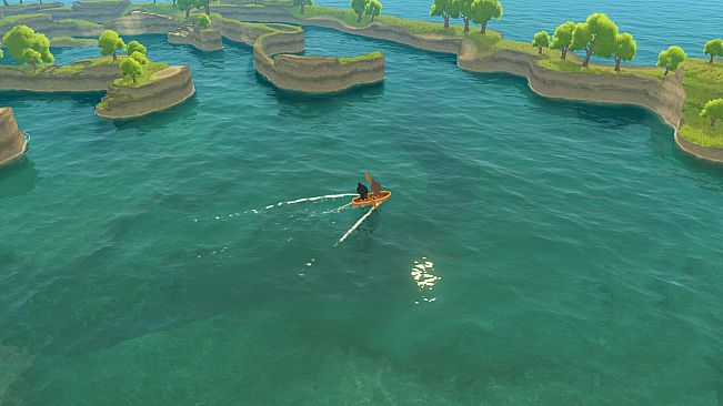 Paddle Cats