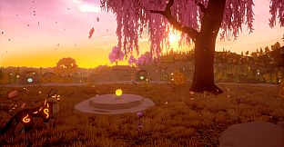 Paws and Soul: First Step