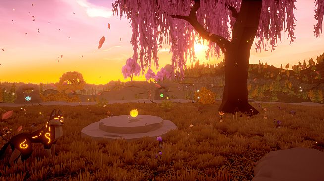 Paws and Soul: First Step