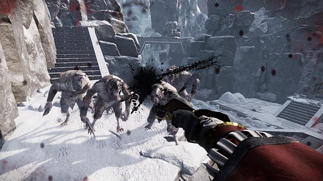 Warhammer Vermintide - Saltzpyre ' Estalian Leather Coat' Skin