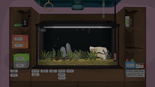 Temporarium