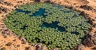 Puzzle Water Flowers