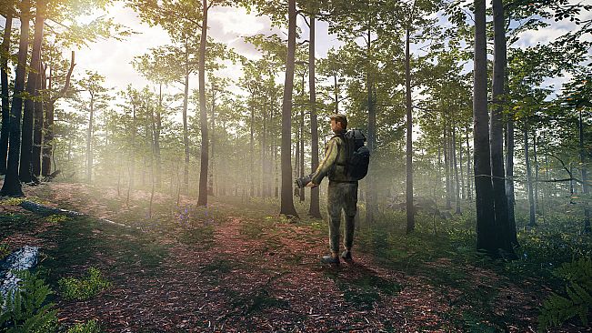 Birding Simulator: Bird Photographer