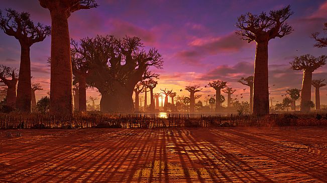 TEKKEN 8 - BAOBAB HORIZON