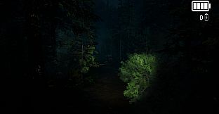 Forest Lookout